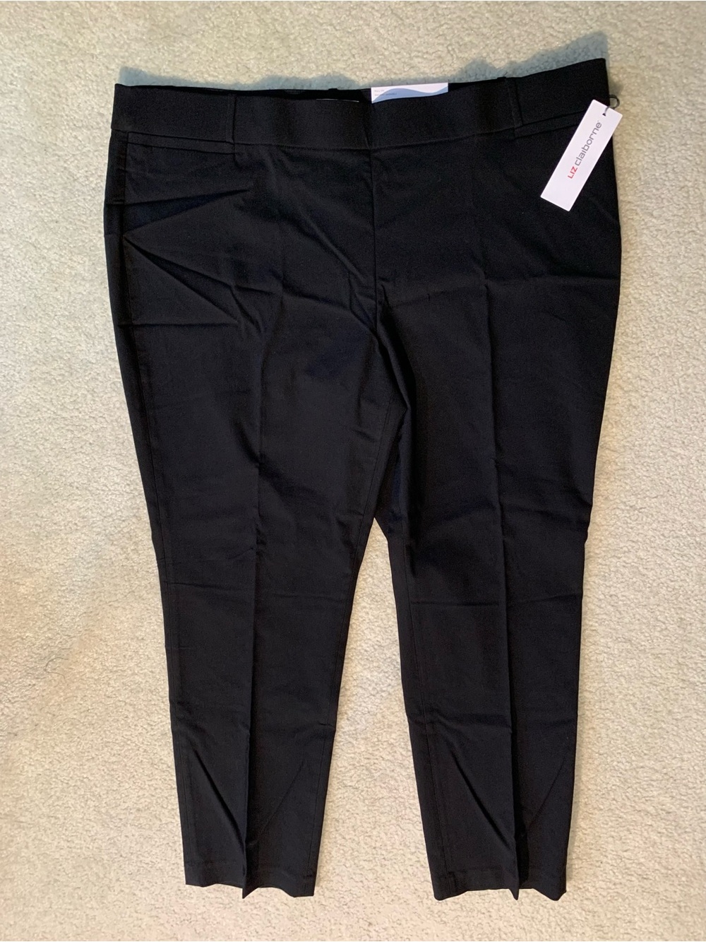 Liz Claiborne Pants 24W